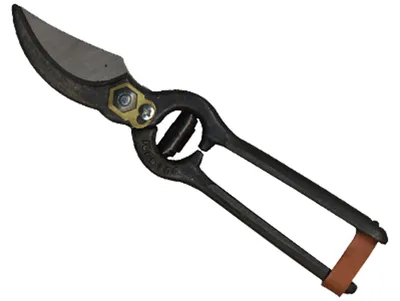 Image de Sécateur en acier de 25 cm Due Buoi