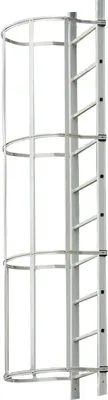 Produktbild von Leiternteile mit Rückenschutz - Länge: 210 cm