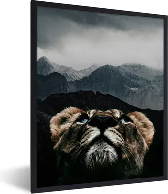 Produktbild von MuchoWow® MuchoWow® Gerahmtes Poster Tiger - Berge - Nebel 60x80 cm - Poster mit zchwarzem Bilderrahmen - Premium - Wanddeko Wohnzimmer