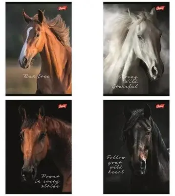Obrázok produktu pre Zošit A5/60 listov, kockované, Wild Heart (10 ks) – UNIPAP