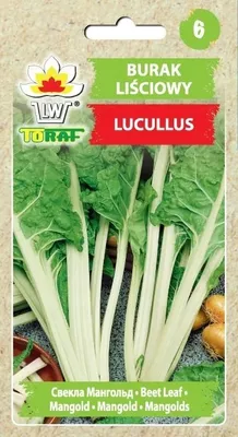 Zdjęcie produktu dla Burak liściowy LUCULLUS Nasiona 5g Toraf 18.