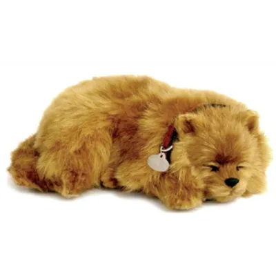 Produktbild von Perfect Petzzz 96316 Zwergspitz