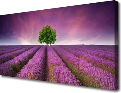 Produktbild von Tulup Leinwand-Bilder 100x50 Wandbild Canvas Kunstdruck Wiese Baum Natur