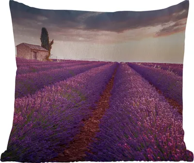 Produktbild von MuchoWow® Outdoor Kissen - Lavendel - Blumen - Lila - Feld - 50x50 cm - Wetterfest - Lounge Kissen - Komfortabel - Kissen mit Bild