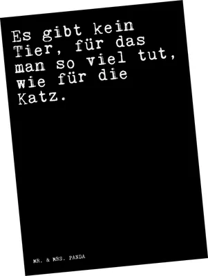 Produktbild von Mr. & Mrs. Panda Postkarte Es gibt kein Tier,... - Schwarz - Geschenk, Ansichtskarten, Postkarten, Fotokarte, Spruch Sprüche Weisheiten Zitate Lustig Weisheit Worte, Katz