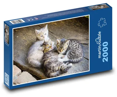 Obrázok produktu pre martinpuzzle - Puzzle 2000 - Maciatka