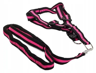 Immagine prodotto di Verk 19115 Pettorina in nylon con guinzaglio per cani 200 x 2,5 cm rosa