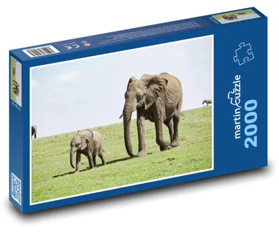 Zdjęcie produktu dla Puzzle 2000 Rodzina słoni na sawannie - martinpuzzle