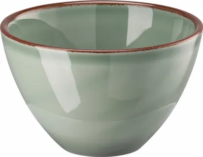 Imagen del producto de Rosenthal Bowl 13 cm Profi Casual Moss Porzellan Grün-Braun 10660-405405-10562
