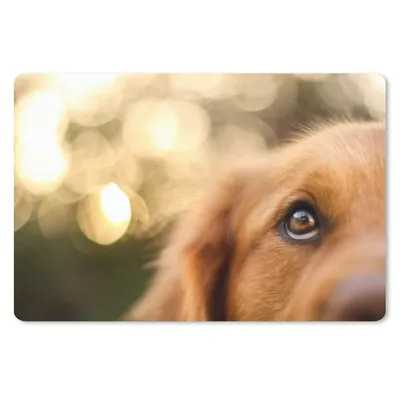 Produktbild von MuchoWow® Mauspad Mousepad Das Glitzern im Auge des Golden Retrievers 27x18 cm - Mousepads - Maus Mat - Pad - Mausunterlage - Büroartikel - Desk Matten