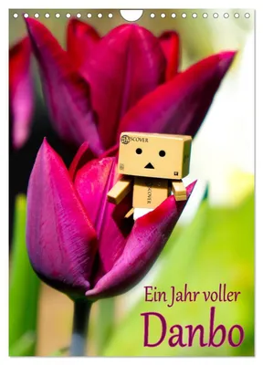 Produktbild von Ein Jahr voller Danbo (Wandkalender 2027 DIN A4 hoch), CALVENDO Monatskalender