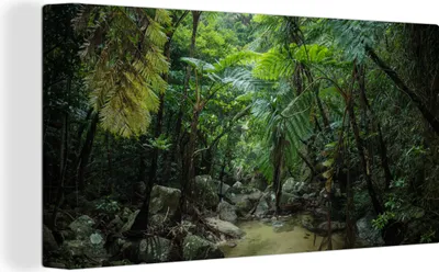 Produktbild von MuchoWow® - Leinwandbilder - Fluss im tropischen Dschungel, Wandbild, Wanddeko Bilder Wohnzimmer, 80x40 cm