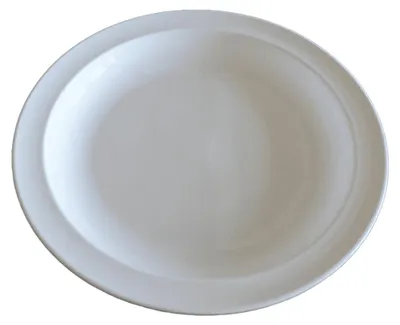 Produktbild von Flacher Speise-Teller Ø24 cm EUROHOME® – aus Kunststoff, 24x24x2,5cm – ideal für Gartenpartys, Camping oder Outdoor-Events