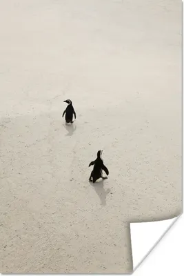 Produktbild von MuchoWow® Poster Zwei Pinguine spazieren auf dem Sand in Südafrika 120x180 cm - Kunstposter
