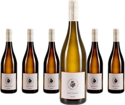 Produktbild von 6 x Weingut Freiherr von Gleichenstein Gutswein Blanc de Blancs trocken
