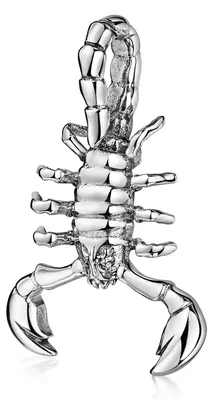 Produktbild von MATERIA by Matthias Wagner Skorpion Anhänger für Kette Herren 925 Sterling Silber massiv KA-84