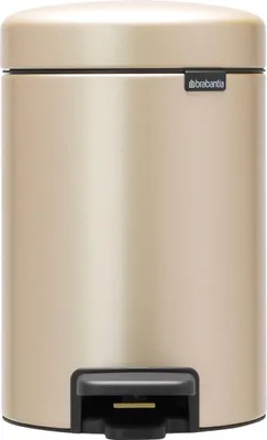 Obrázok produktu pre Brabantia NewIcon Treteimer 3 Liter, 3 L, Kolo, Šampanské, Pedál, 16,8 cm, 168 mm