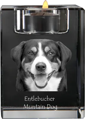 Produktbild von Entlebucher Sennenhund - Kerzenhalter mit Hundefoto, Teelichthalter aus Kristall, personalisiertes Geschenk der Marke Art-Dog