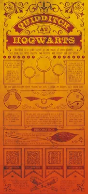 Immagine prodotto di FaNaTtik Harry Potter stampa artistica Quidditch 42 x 19 cm FNTK-THG-HP27