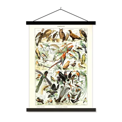 Produktbild von MuchoWow® Textilposter Tiere - Vogel - Jahrgang 90x120 cm mit schwarzem Rahmen - Dekoration