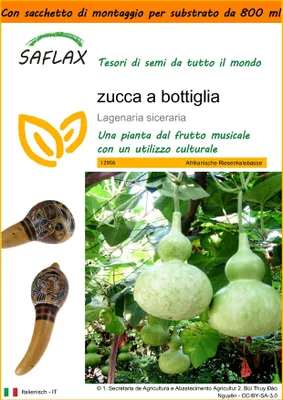 Immagine prodotto di SAFLAX Garden in the bag -  zucca a bottiglia - 15 semi - Lagenaria