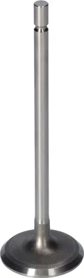 Produktbild von FEBI BILSTEIN 181077 Einlassventil für RENAULT Clio III Schrägheck (BR0/1, CR0/1) Ø32,7mm-Teller Ø5,5mm-Schaft