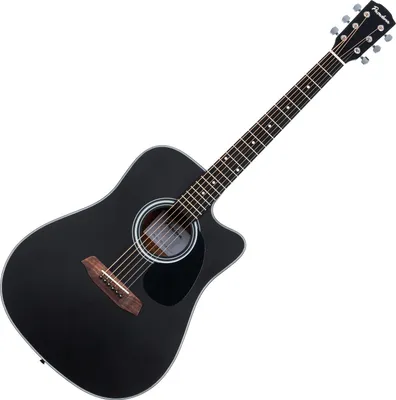 Produktbild von Pasadena PDC-100 Black Akustikgitarre