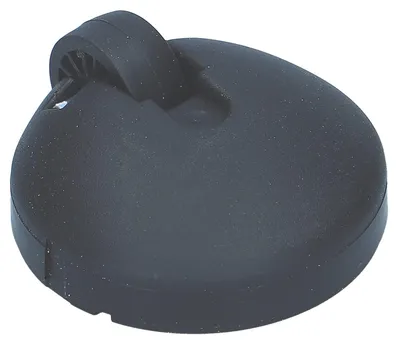Staubsauger-Zwenkwiel, schwarz, 67 mm, 1 Stück