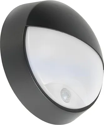 Produktbild von Außenwandleuchte Schwarz inkl LED mit Bewegungsmelder IP54 Hortus