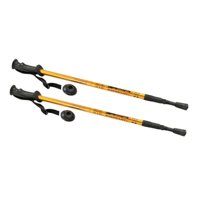Image de Bâtons de marche nordique en aluminium 65–135 cm télescopiques couleur or