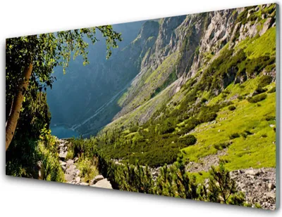 Produktbild von Acrylglasbilder 100x50 Wandbild Druck Gebirge Wald Natur