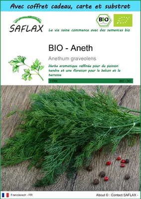 Image de SAFLAX Ensemble-cadeau -- Aneth - 700 graines - Anethum