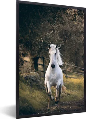 Produktbild von MuchoWow® MuchoWow® Gerahmtes Poster Pferd - Natur - Schlamm 40x60 cm - Poster mit zchwarzem Bilderrahmen - Papierdruck - Wandbilder