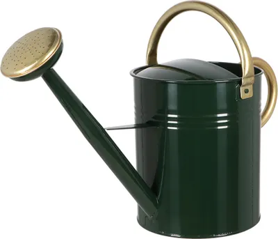 Produktbild von Traumschöne Gießkanne ARCHIBALD, verzinkter Stahl, 9,5 L, grün gold