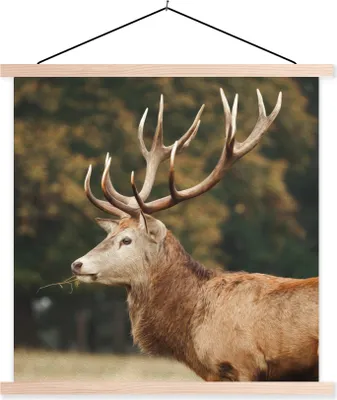 Produktbild von MuchoWow® Textilposter Hirsche - Gras - Wald - Geweih 40x40 cm mit holzfarbenen Rahmen - Posterleiste