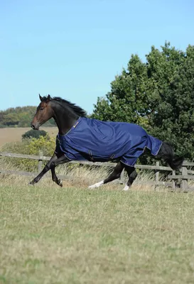 Produktbild von BUCAS Irish Turnout 50 g navy gold Winterdecke, Regendecke , Buc17_Gr.:165cm