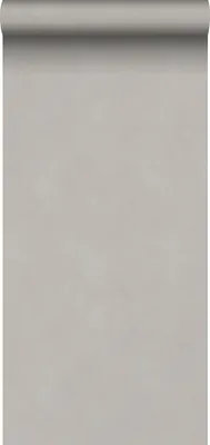 Produktbild von Sanders & Sanders Tapete Uni Taupe 53 cm x 10.05 m