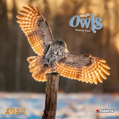 Obrázok produktu pre Čarovné sovy 2027