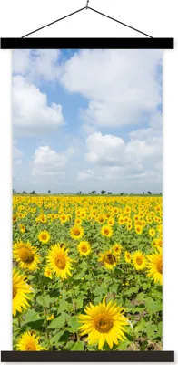 Produktbild von MuchoWow® Textilposter Sonnenblumen - Blumen - Wolken - Natur - Gelb - Landschaft 60x120 cm mit schwarzem Rahmen - Magnete