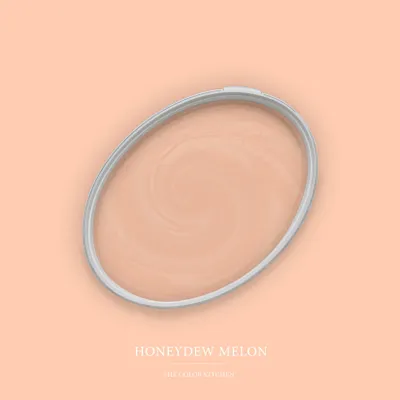 Produktbild von Wandfarbe Rosa matt | The Color Kitchen Honeydew Melon | Exklusive Innendispersion Hohe Deckkraft | 5 Liter