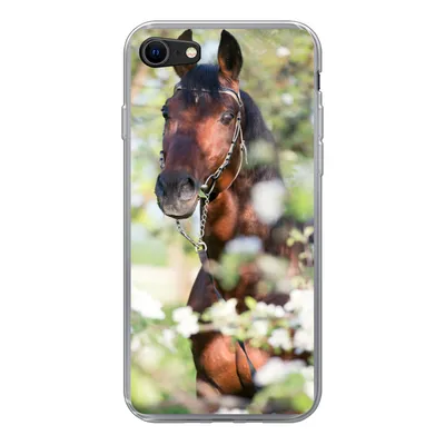 Produktbild von MuchoWow® Handyhülle Schutzhülle Hülle für iPhone SE 2020 Pferde - Blüte - Frühling - Tiere Silikon Softcase Handy Hülle - Kartenbesitzer