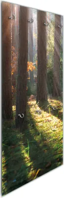 Produktbild von Wallario Flurgarderobe Wandgarderobe aus Glas, mit 7 Haken, Größe 50 x 125 cm, Motiv Sonnenstrahlen im Herbstwald