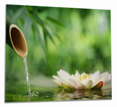 Produktbild von Wallario Herdabdeckplatte aus Glas, Größe 60 x 52 cm 1-teilig, Motiv Seerosen und Bambus auf dem Wasser