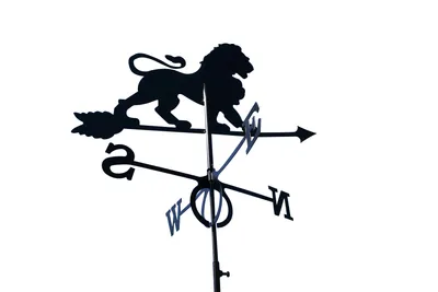 Produktbild von SvenskaV Wetterfahne Löwe groß in schwarz