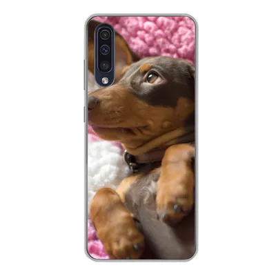 Produktbild von MuchoWow® Handyhülle Schutzhülle Hülle für Samsung Galaxy A50 Ein Dackelwelpe auf einer rosa Decke Silikon Softcase Handy Hülle - Mobiltelefonhülle