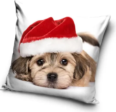 Produktbild von Weihnachtskissenbezug 40x40 Samt WEIHNACHTSHUND