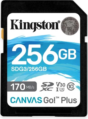 Zdjęcie produktu dla Kingston Technology Canvas Go! Plus , 256 GB, SD, Klasa 10, UHS-I, 170 MB/s, 90 MB/s