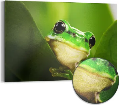 Produktbild von DEQORI Magnettafel Metall 90x60 cm 'Grüner Lauschposten' Whiteboard Pinnwand Büro