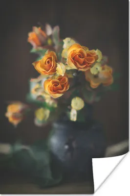 Produktbild von MuchoWow® Poster Rosen - Orange - Blumen 80x120 cm - Papierdruck