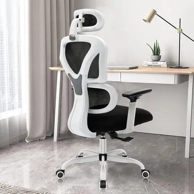 Obrázok produktu pre KD9070 – Ergonomická kancelárska stolička s nastaviteľnou opierkou hlavy, podopierkami rúk a bedrovou opierkou na zmiernenie bolesti chrbta. Maximálna nosnosť: 150 kg / 330 libier. Rozmery: 55 x 25